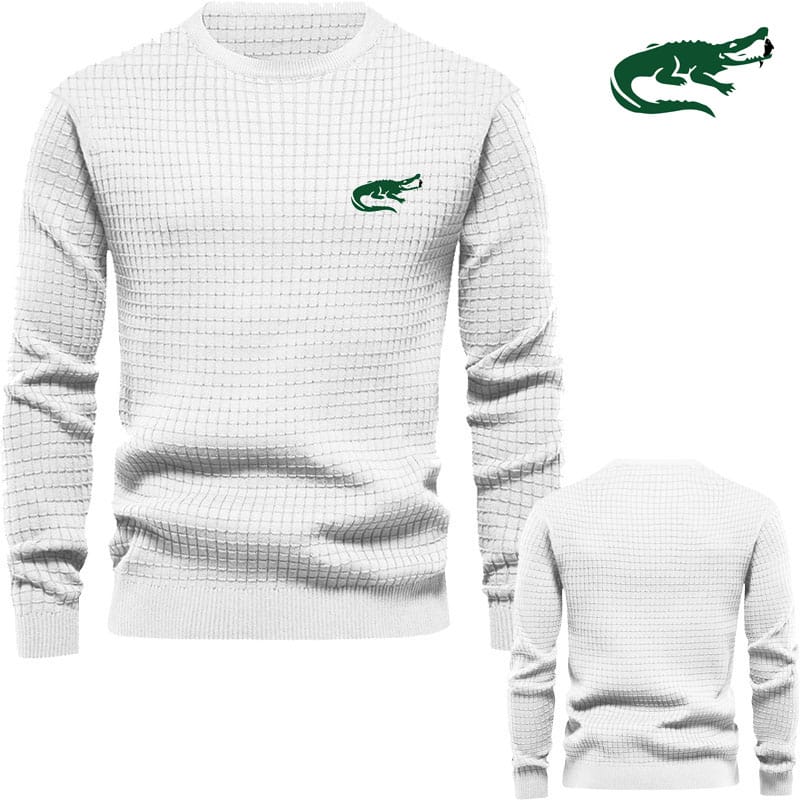 SITENG embroidered men's sweatshirt hoodie Spring and Autumn fashion high-end men's hoodie high quality fashion casual pullover